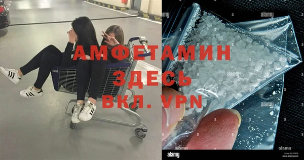 гидра Володарск