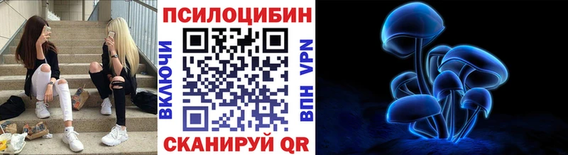 где продают наркотики  Ачинск  Псилоцибиновые грибы Cubensis 