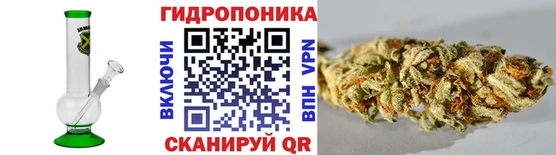 Шишки марихуана тримм  Ачинск 